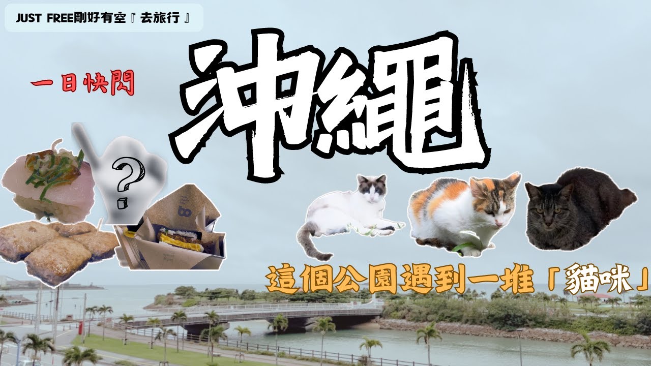 沖繩自由行,一日不自駕快閃,行程外的奧武山公園,遇到超多貓咪、日本女子五人制足球練習、沖繩野球博物館。24小時沖繩Vlog|JUST FREE剛好有空-去旅行 2023JUN