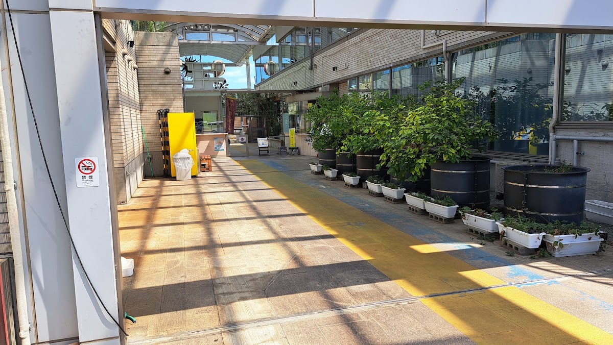 道之驛 伊豆之臍(道の駅 伊豆のへそ) 實景照片 5