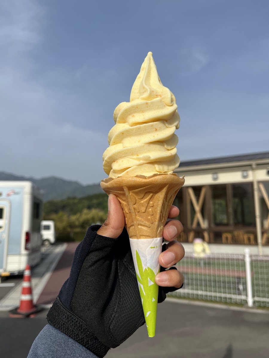 道之驛 青雲橋（道の駅 青雲橋） 實景照片 7