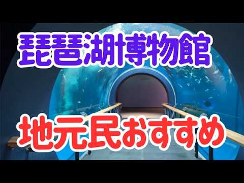 【滋賀観光】子連れ・雨の日にも!琵琶湖博物館の必見ポイント(バイカルアザラシ・古代魚など)