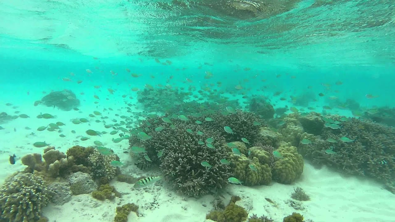 4/27 Float-阿真海灘