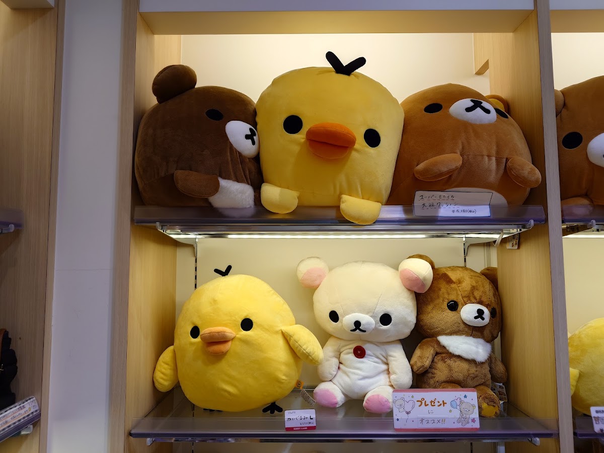 KIDDY LAND piole姬路店（キデイランド ピオレ姫路店） 實景照片 6