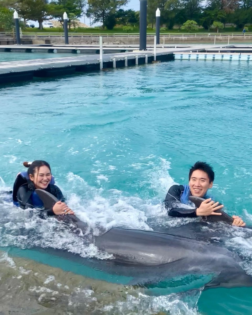 本部元氣村（もとぶ元気村） 實景照片 8