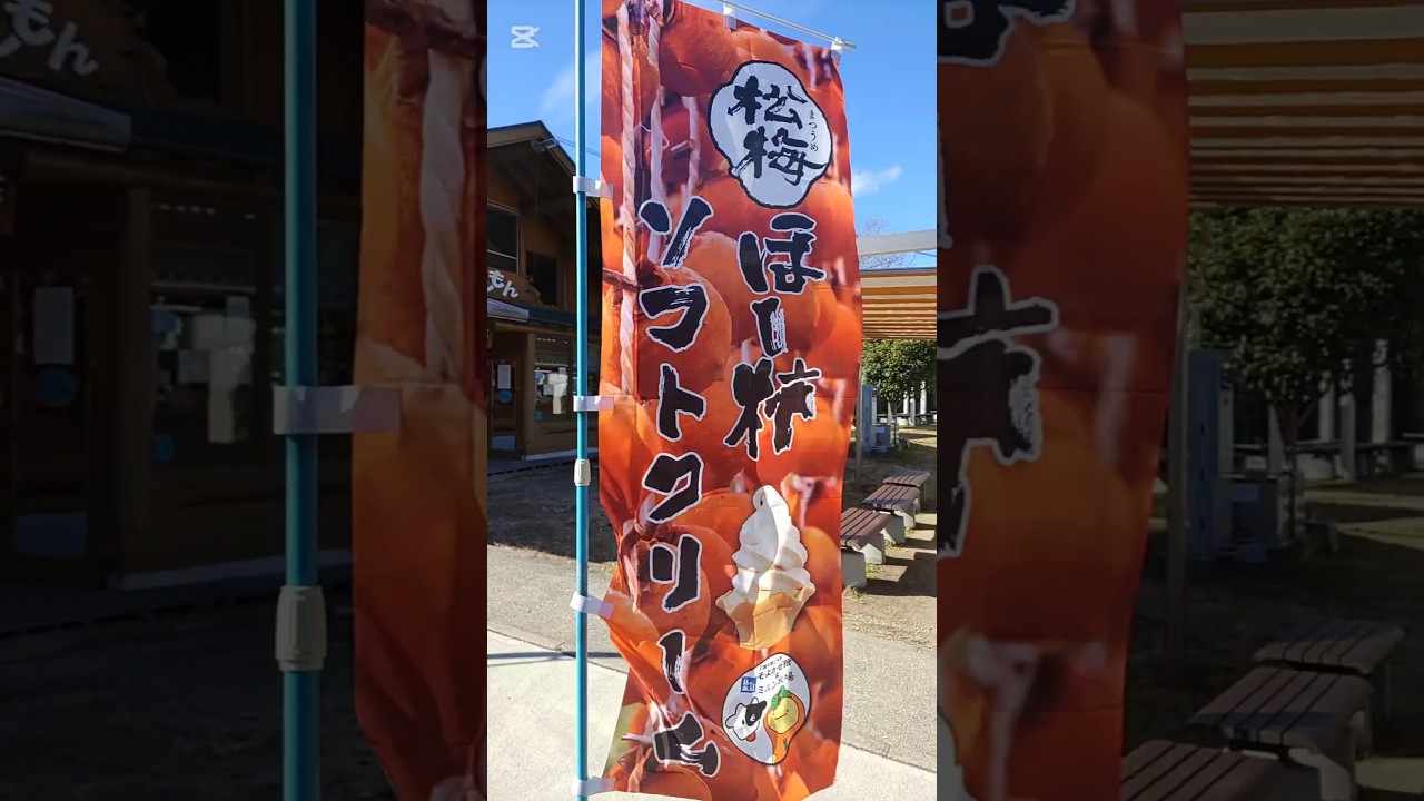 干し柿ソフトクリーム　道の駅大和　佐賀県佐賀市