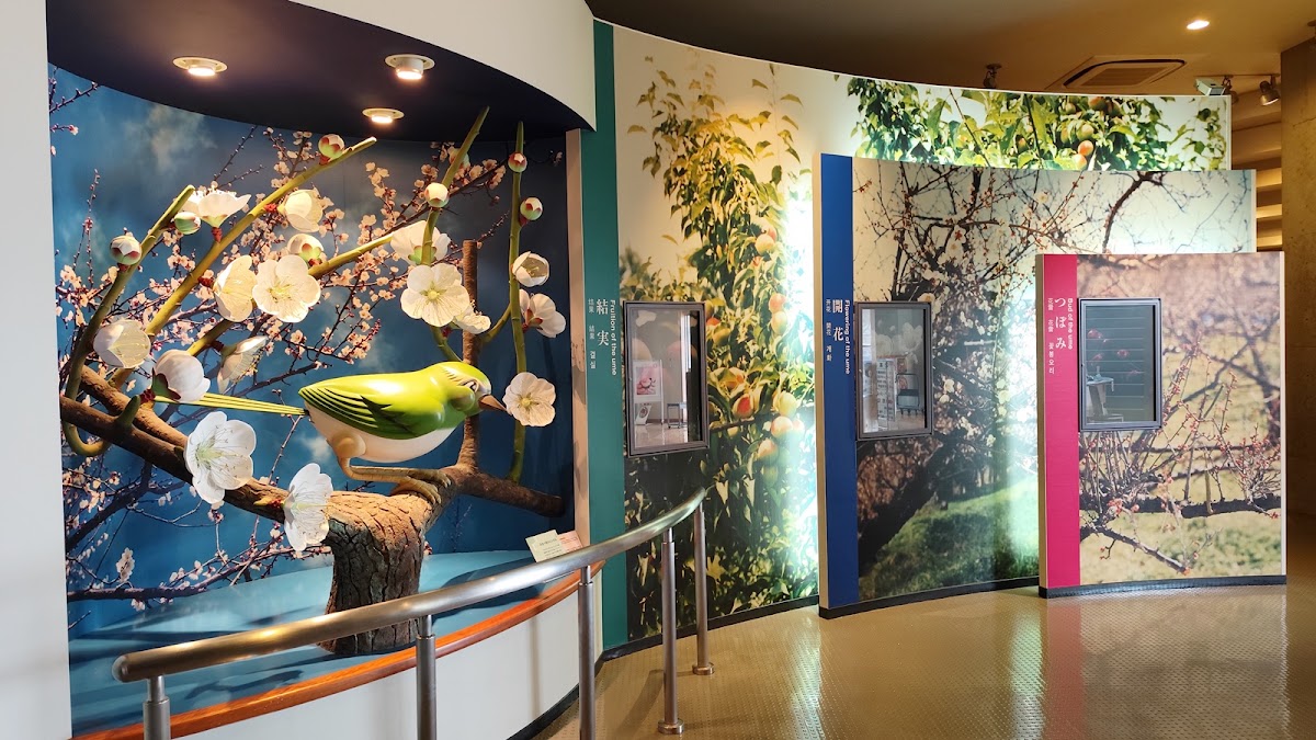 道之驛 南部梅振興館（道の駅 みなべうめ振興館） 實景照片 4