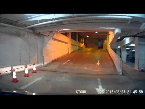 《停車場》大埔寶湖花園-出