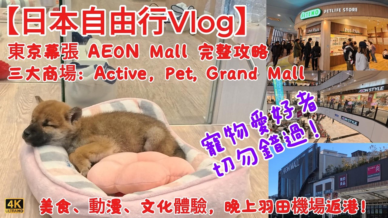 【日本自由行Vlog】東京幕張新都心AEON Mall超完整攻略!日本最大級Pet Mall寵物廣場超可愛,購物、美食、動漫、文化,三大商場一次逛到盡,東京最後一日這樣玩!晚上羽田機場回港實錄《4K》