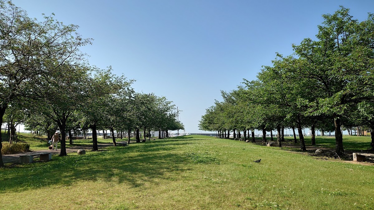 新西宮海之驛（新西宮海の駅） 實景照片 9