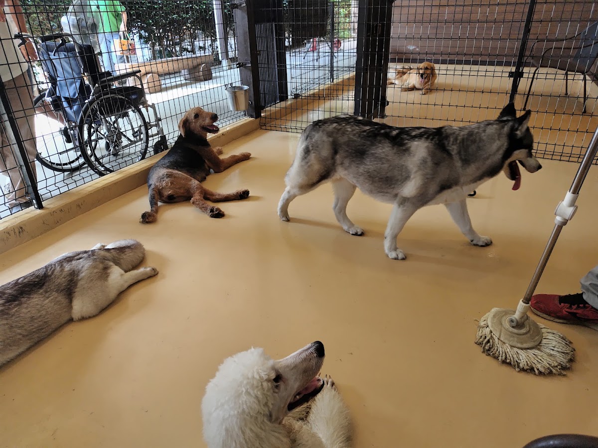 世界名犬牧場（世界の名犬牧場） 實景照片 7