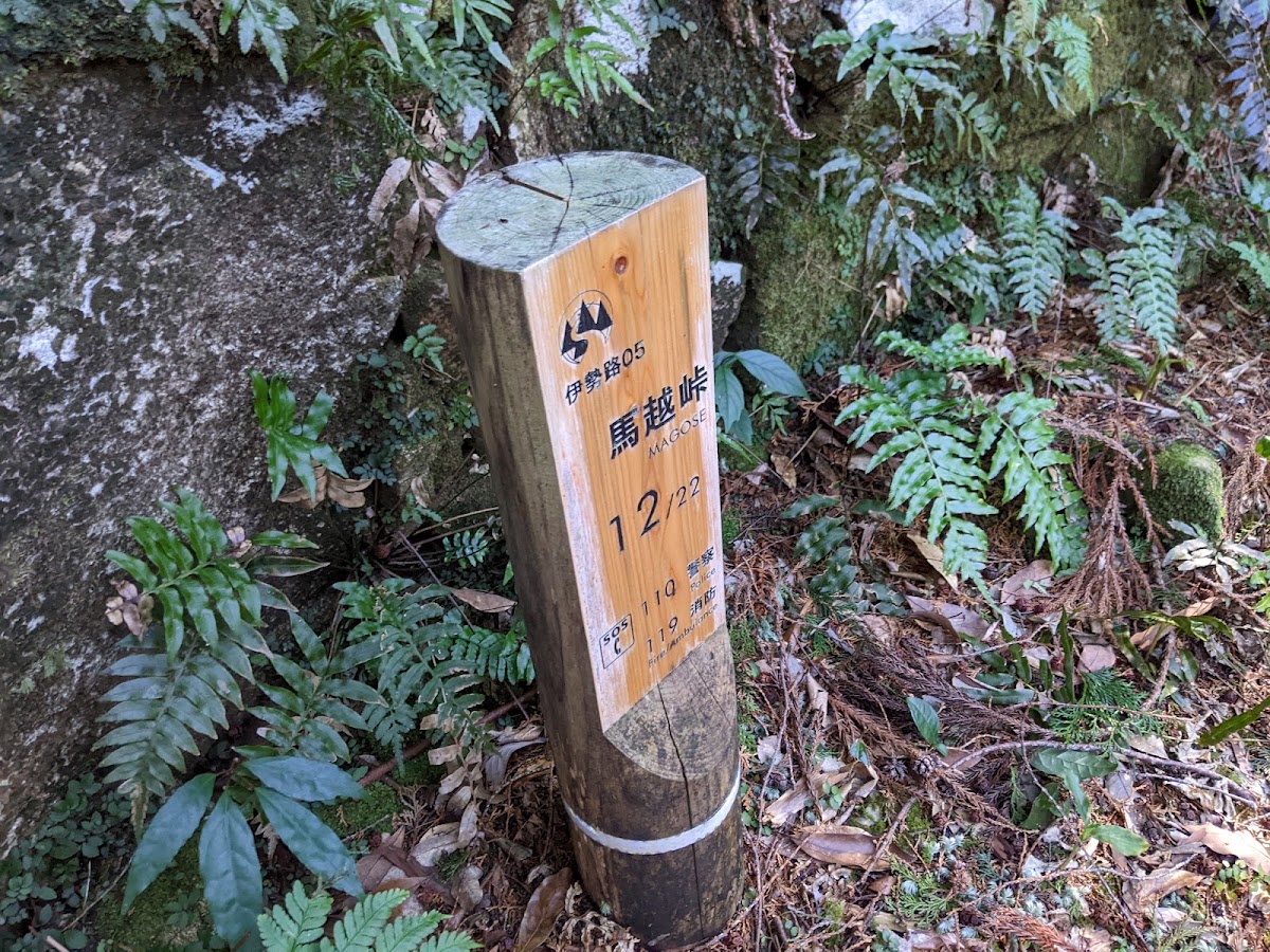 熊野古道 馬越峠 實景照片 10