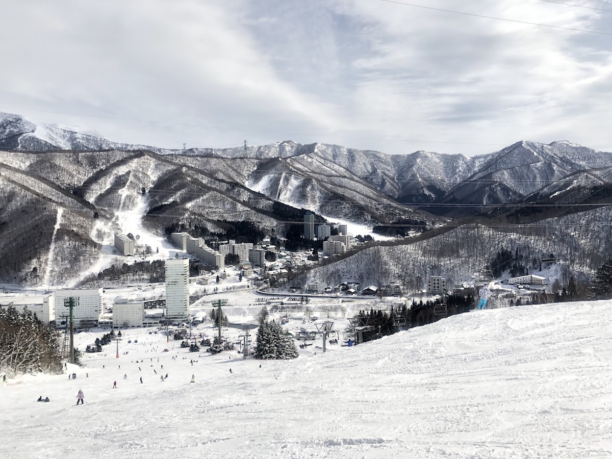 苗場滑雪場(苗場スキー場) 實景照片 5