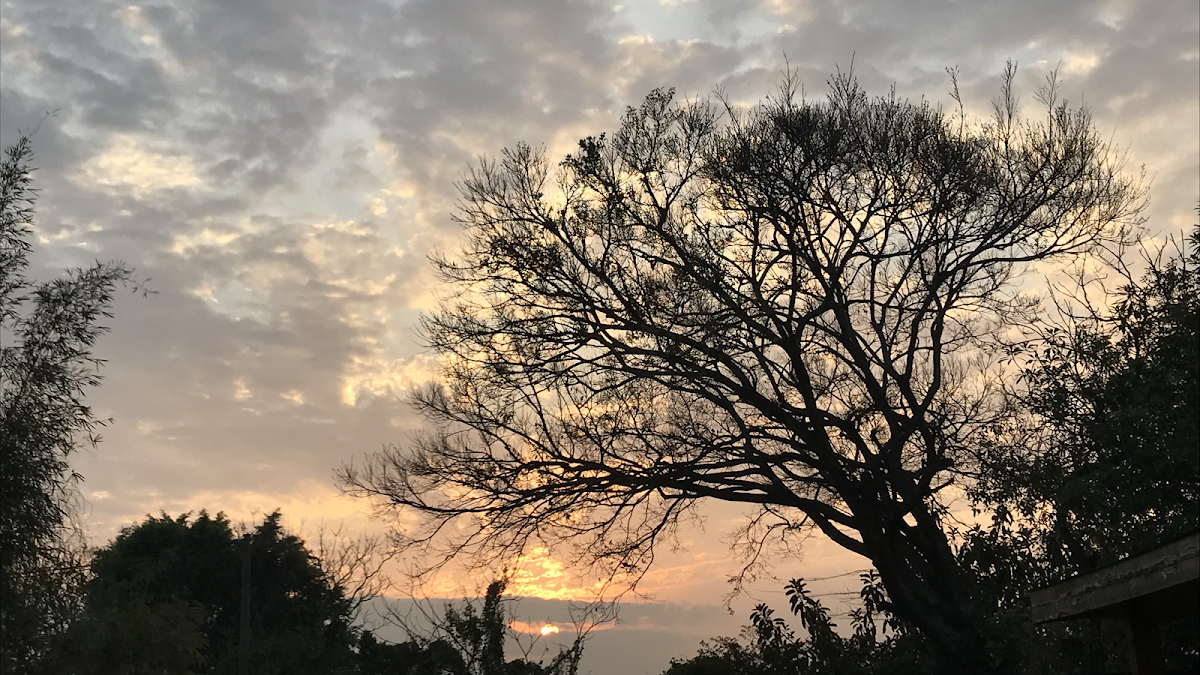 下白泥鴨仔坑士多停車場 實景照片 3