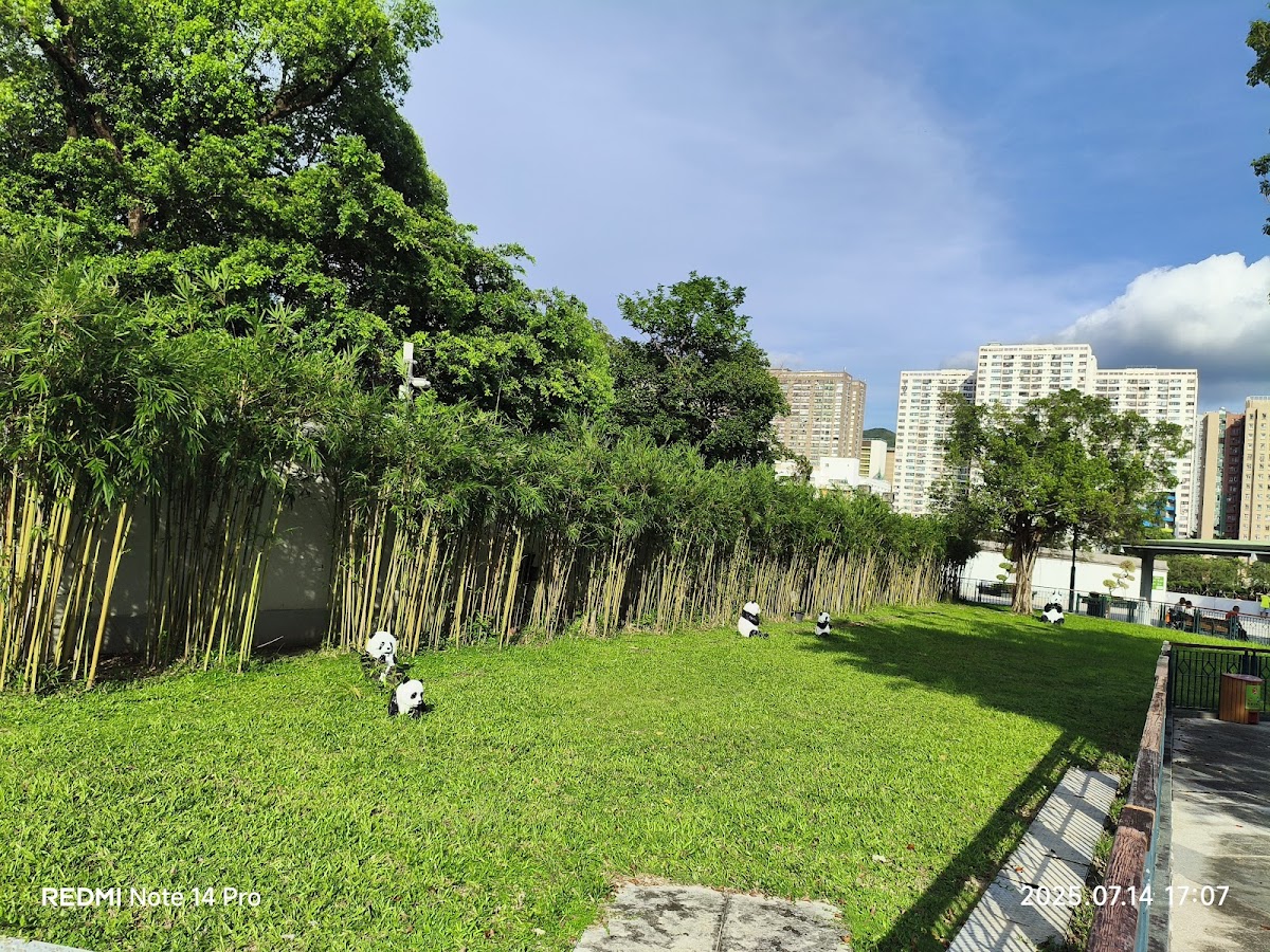 沙田大會堂停車場 實景照片 3