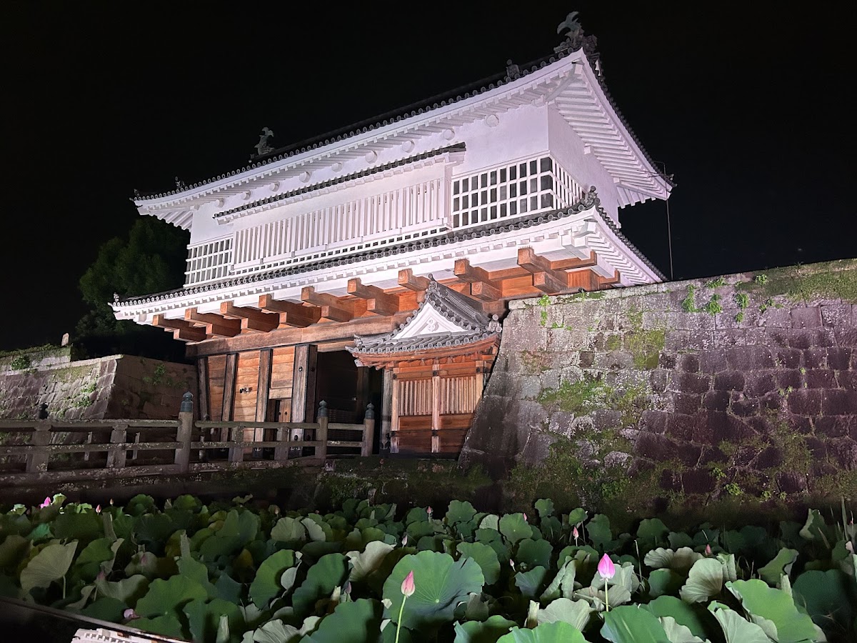 鹿兒島城(鶴丸城)(鹿児島城) 實景照片 3