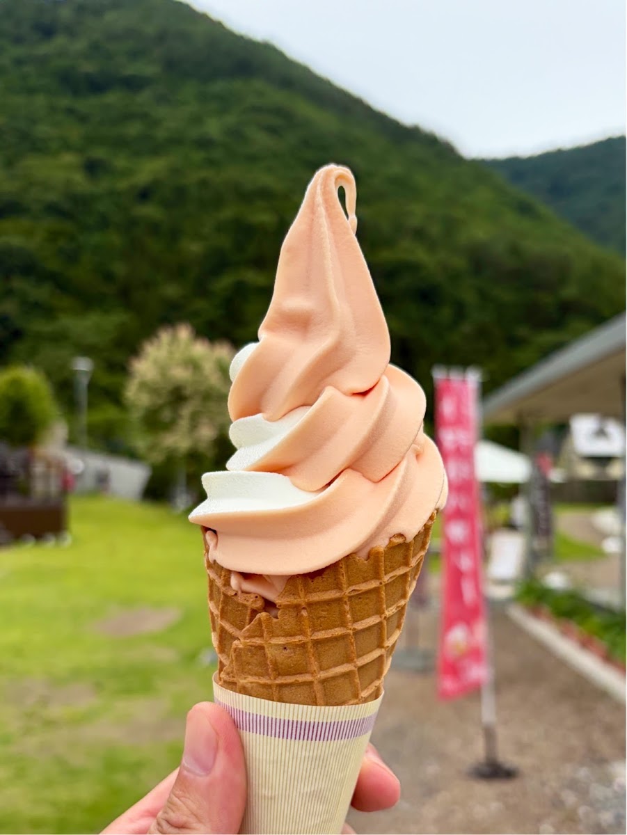 道之驛 尾瀨片品（道の駅 尾瀬かたしな） 實景照片 9