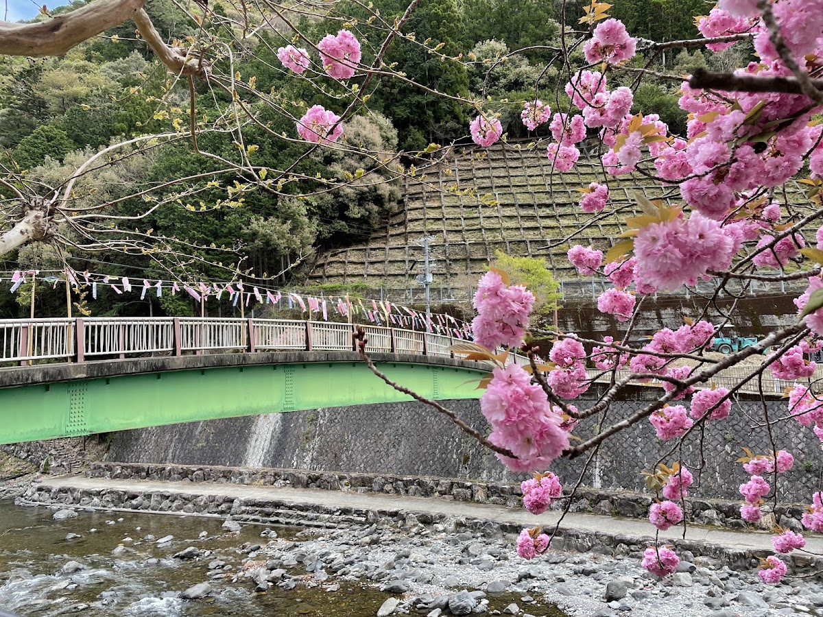 道之驛 吉野路上北山（道の駅 吉野路 上北山） 實景照片 10