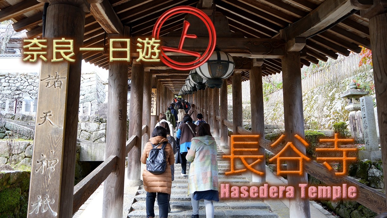 【奈良一日遊】漫步長谷寺!震撼心靈的399階登廊與秋天絕景舞台🍁 Hasedera Temple Autumn Tour|2025