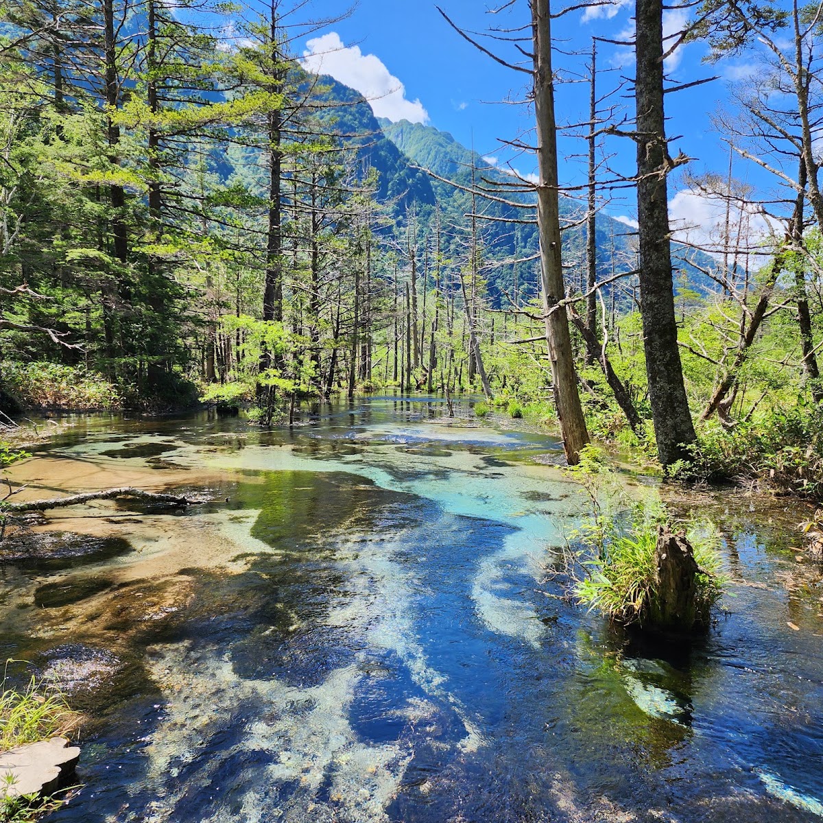 中部山岳國家公園（中部山岳国立公園） 實景照片 5