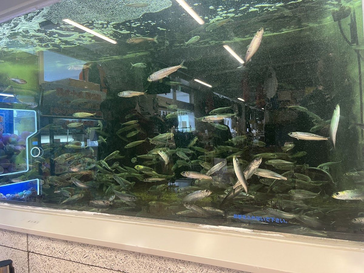 海之驛 豐海（海の駅 九十九里） 實景照片 3