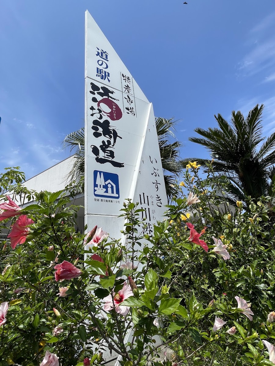道之驛 山川港活海道(道の駅 山川港活お海道) 實景照片 8