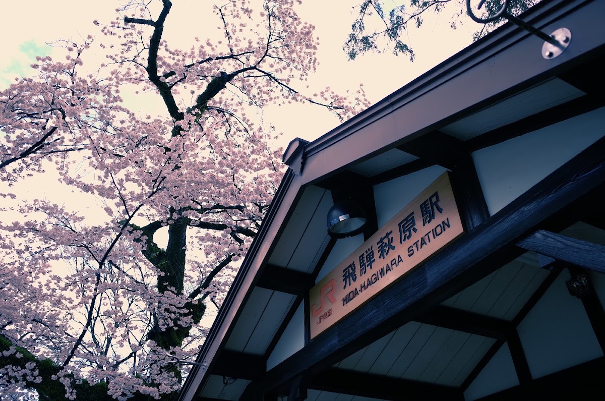 JR飛驒萩原站（JR飛騨萩原駅） 實景照片 10