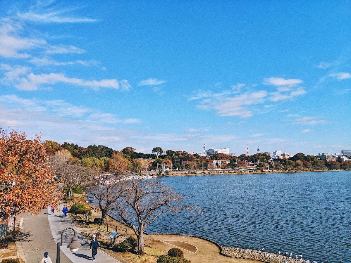 千波公園(千波湖)
