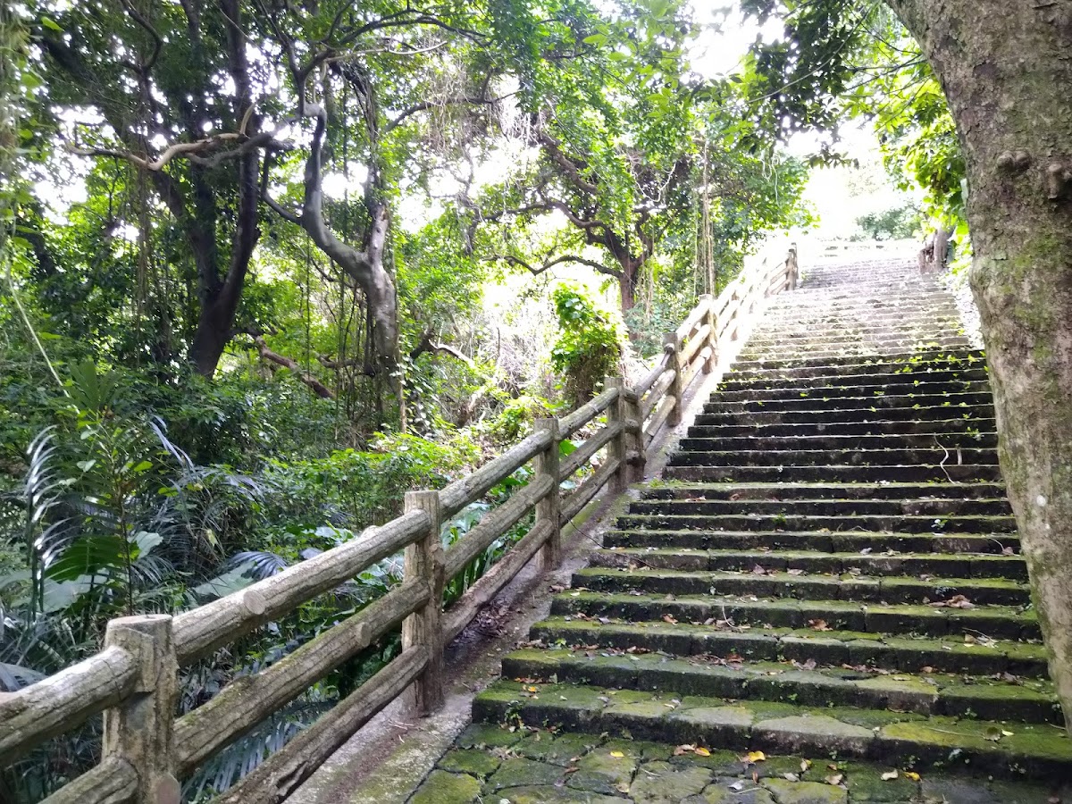 末吉公園 實景照片 6
