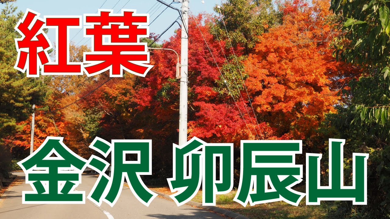 【紅葉狩り】金沢の卯辰山公園で紅葉狩り。晴れた日の散歩は最高です!