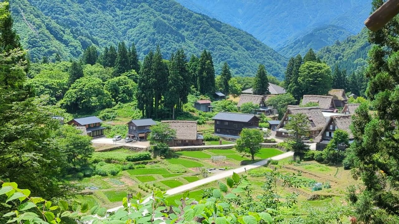 20230626 五箇山合掌村「相倉合掌造り集落」秋天來也很美,而且每年9月、11月、2月會點燈,不用去白川鄉人擠人,以後我的團會傾向帶來這裡