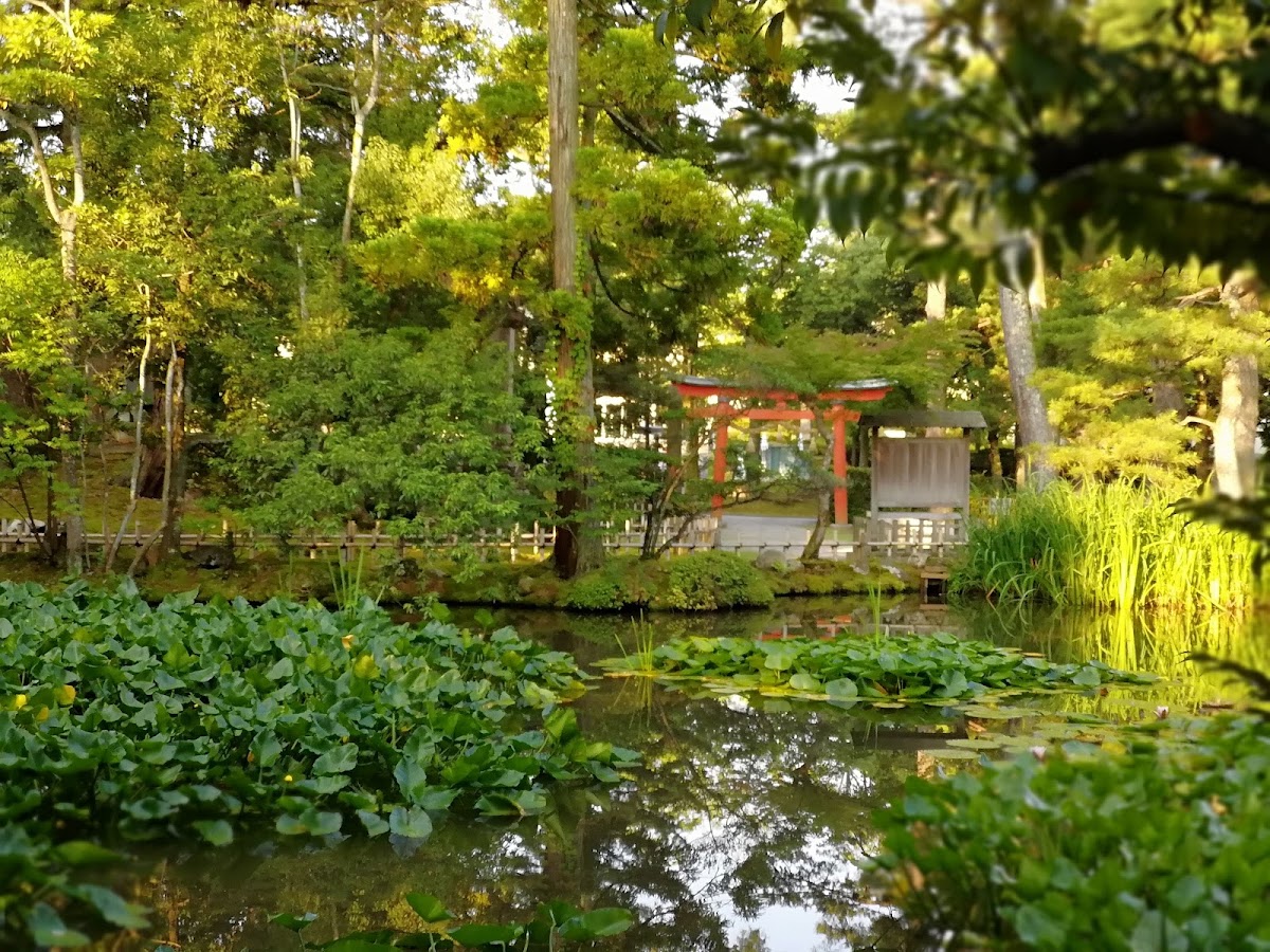 金澤神社(金沢神社) 實景照片 8