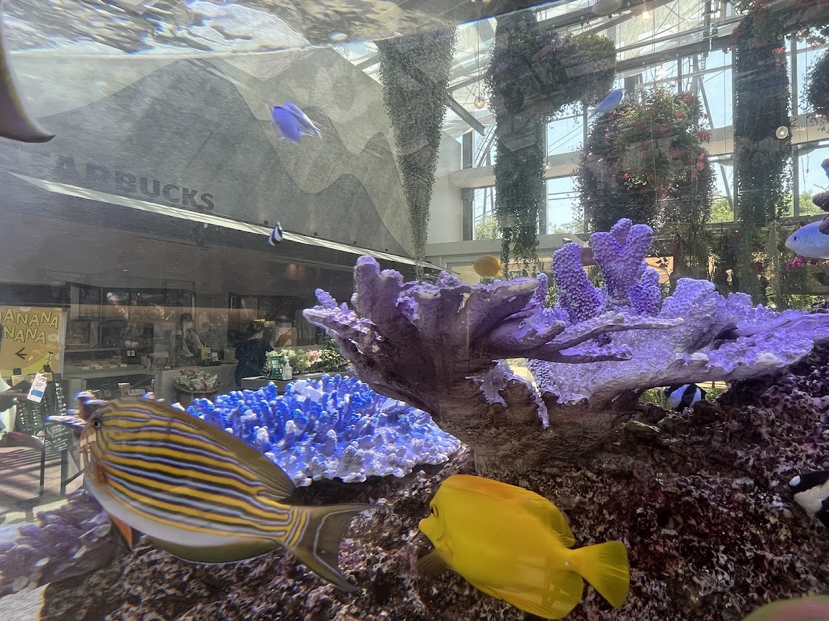 水族箱與室內景觀