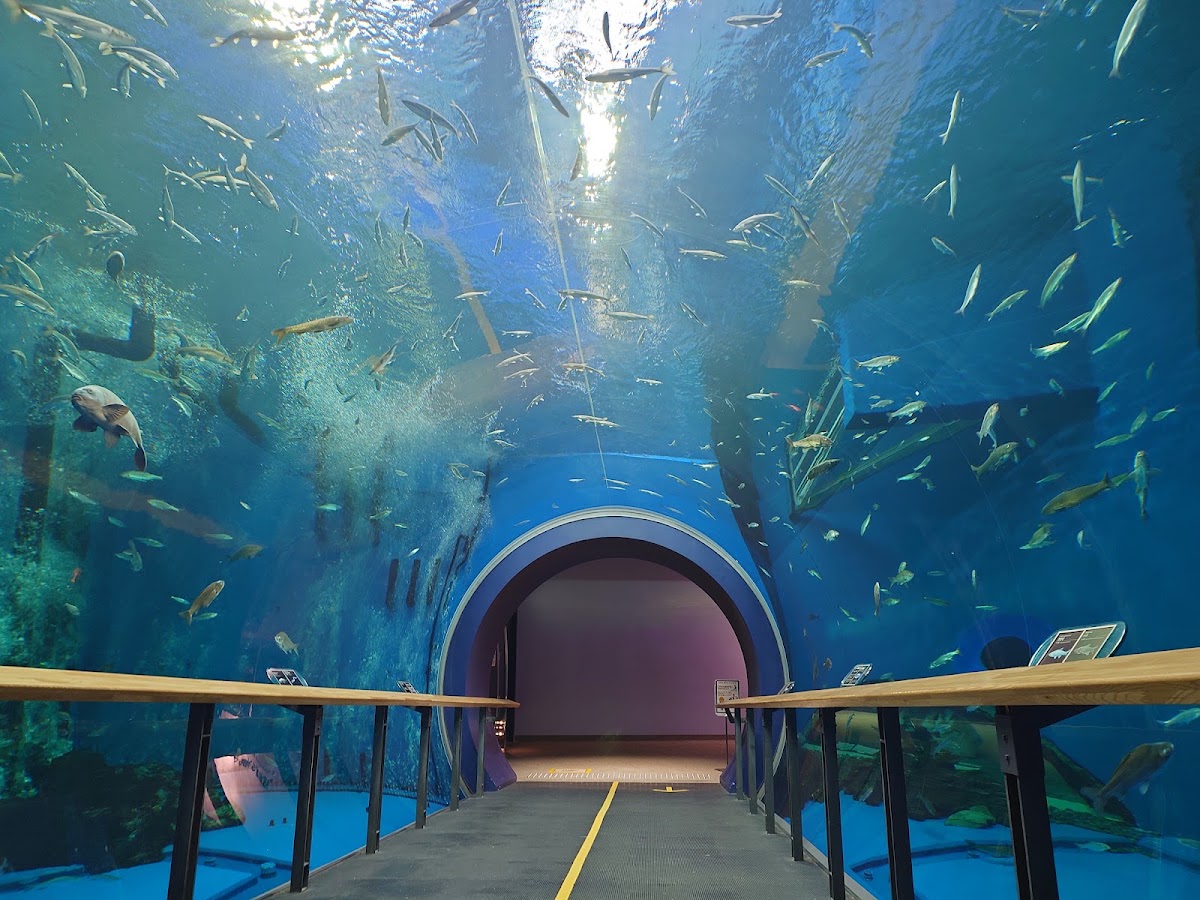 滋賀縣立琵琶湖博物館(滋賀県立琵琶湖博物館) 實景照片 1