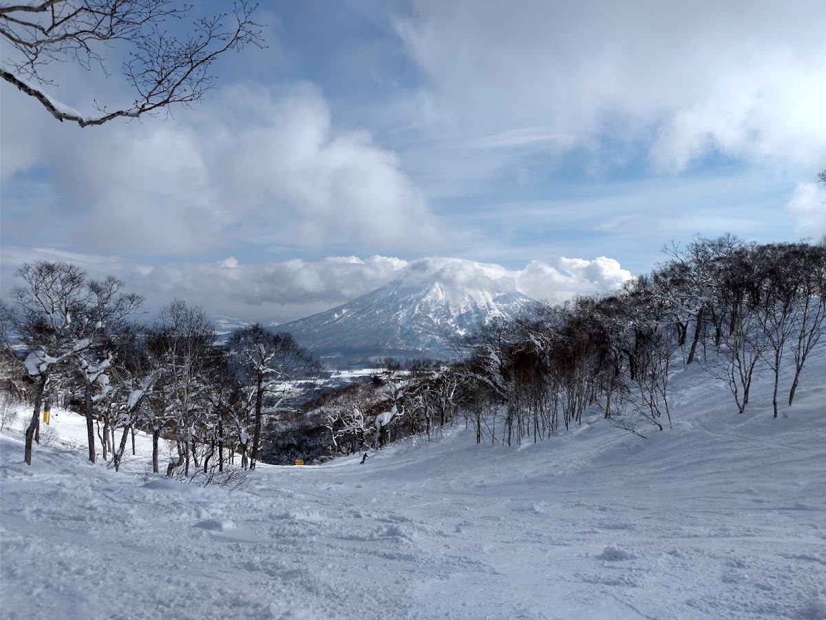 穿過白樺樹林的滑雪道風景