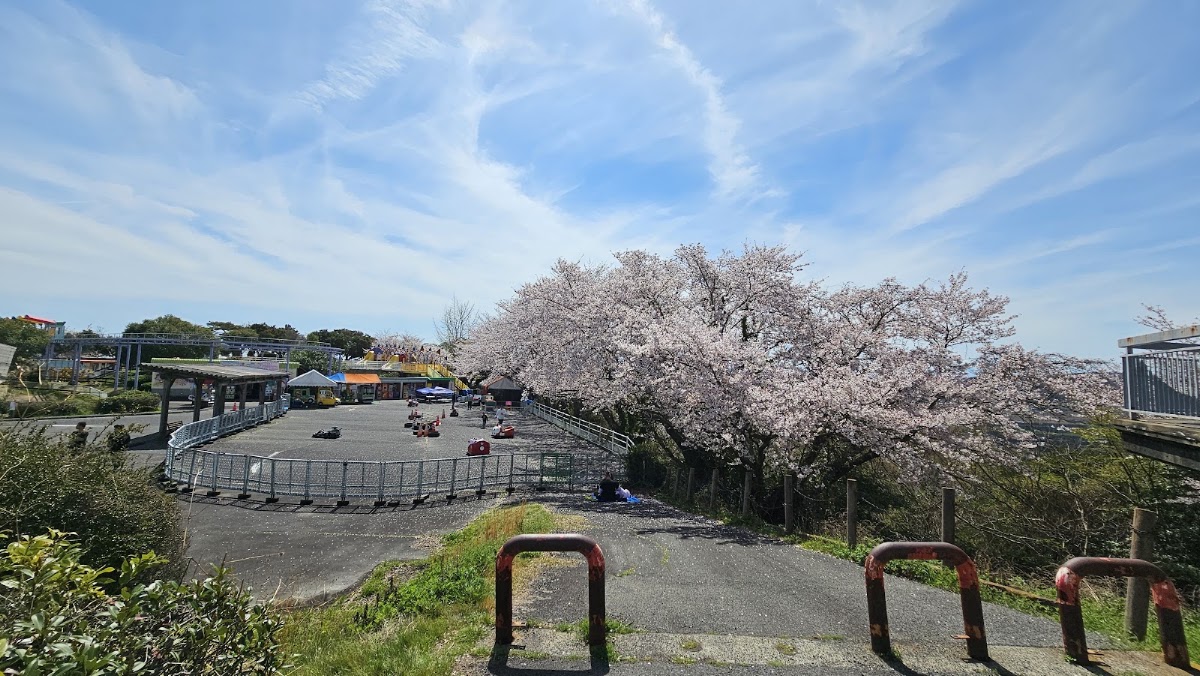 道之驛 一本松展望園(道の駅 一本松展望園) 實景照片 7