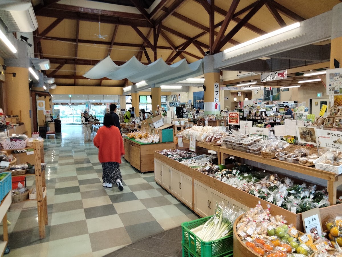 道之驛 原尻瀑布(道の駅 原尻の滝) 實景照片 10