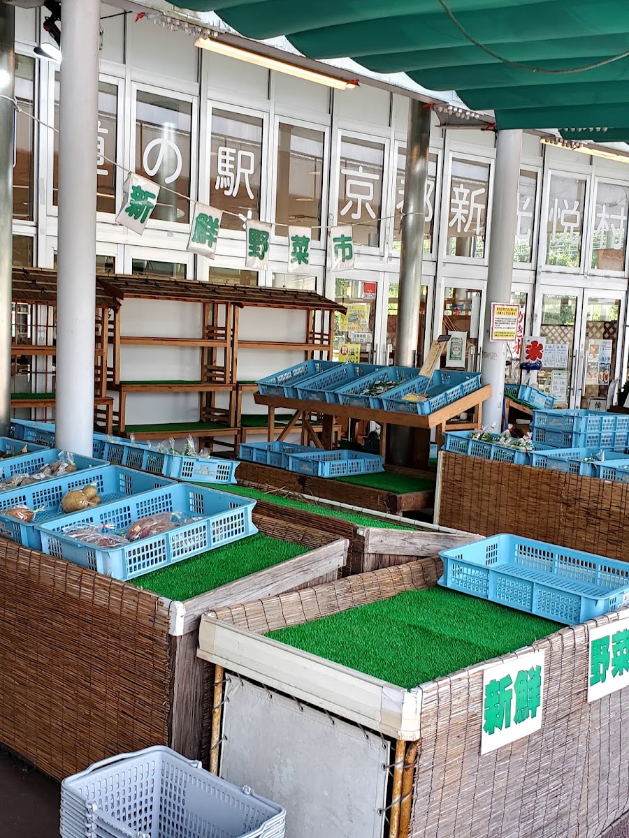 道之驛 京都新光悅村(道の駅 京都新光悦村) 實景照片 3