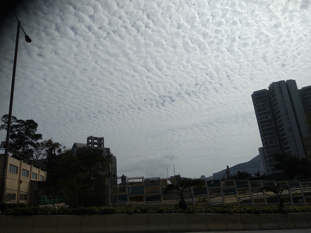 東區尤德夫人那打素醫院停車場 實景照片 6