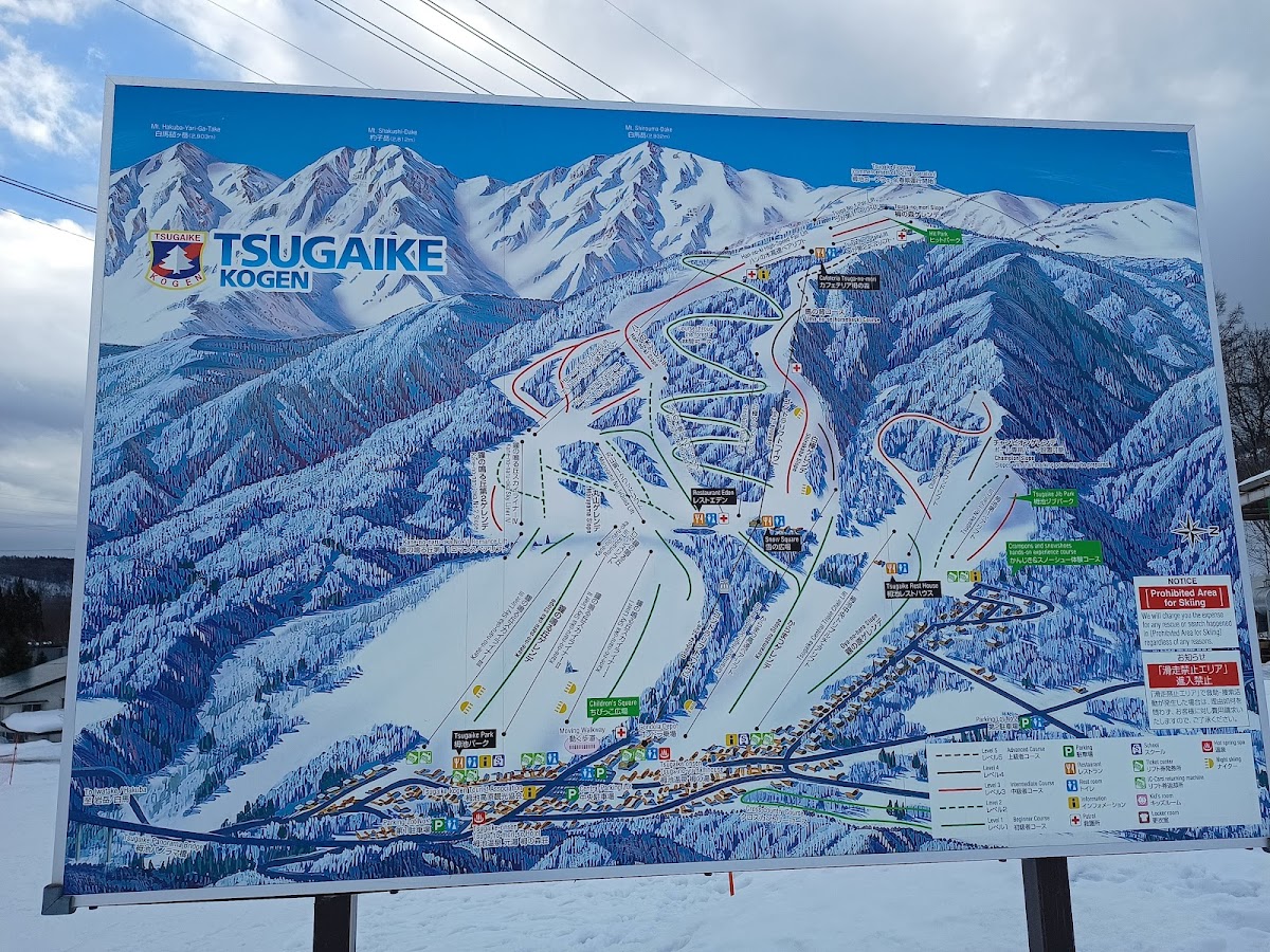 栂池高原滑雪場（栂池高原スキー場） 實景照片 1