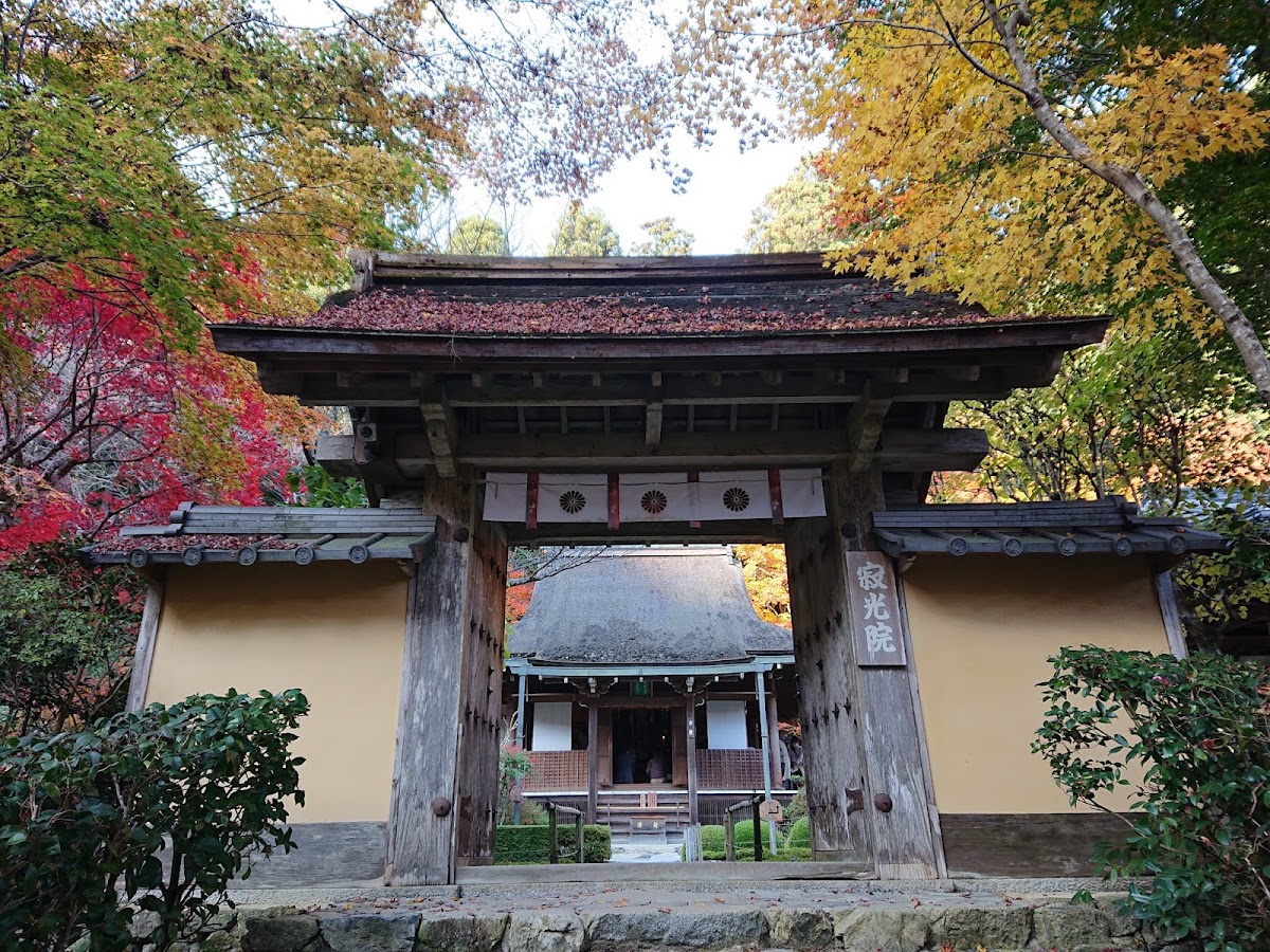寂光院古樸山門與秋葉景致