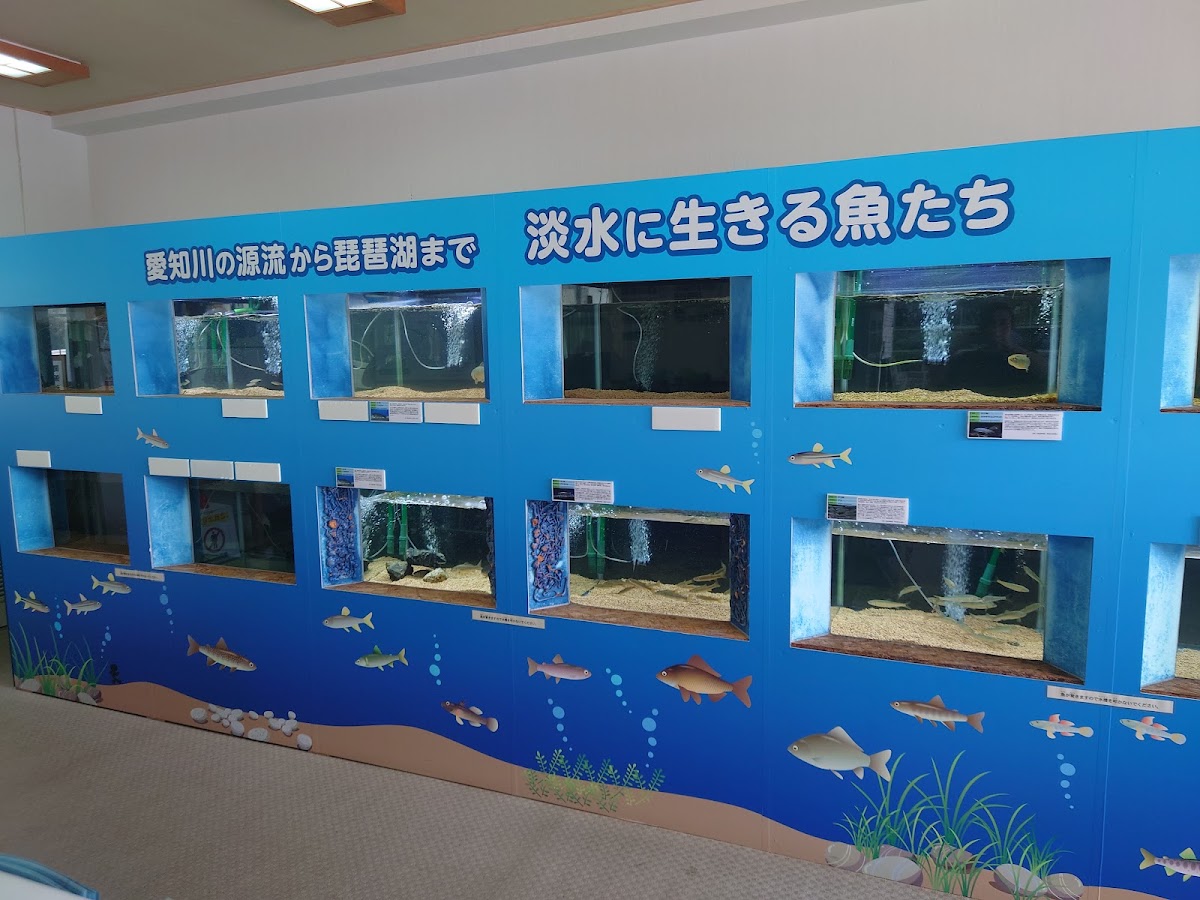 道之驛 奧永源寺溪流之里（道の駅 奥永源寺渓流の里） 實景照片 7