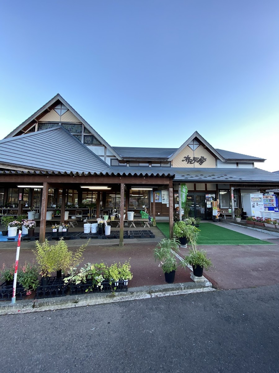 道之驛 折爪（道の駅 おりつめ） 實景照片 3