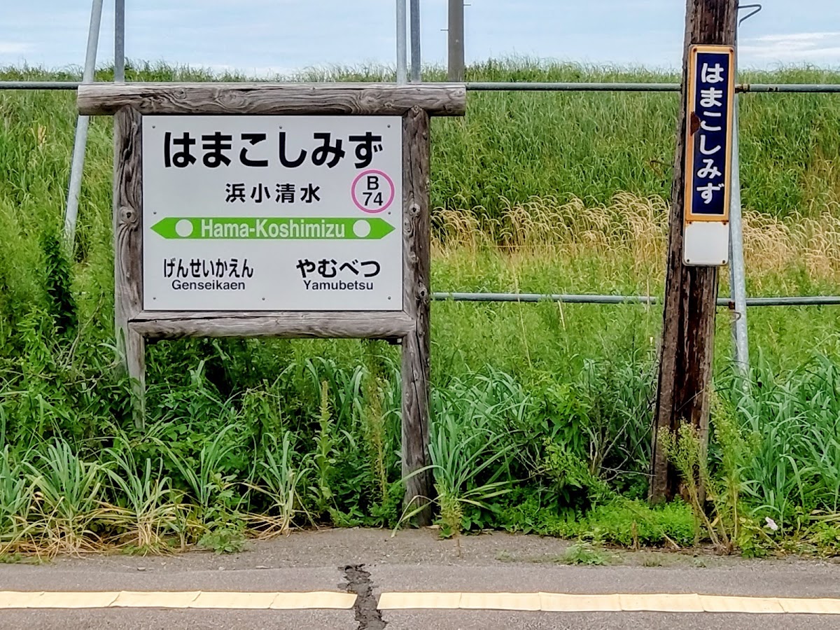 道之驛 葉菜野花小清水(道の駅 はなやか(葉菜野花)小清水) 實景照片 4