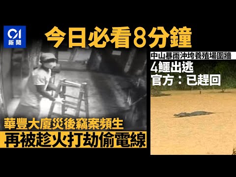 #今日新聞 香港 華豐大廈火後亂象頻生再被偷電線｜中山暴雨勁到沖垮養殖場圍牆　4條鱷魚出逃｜01新聞｜車cam｜閉路電視｜搶包山｜深圳樓｜楊潤雄｜ 2024年5月5日   #hongkongnews