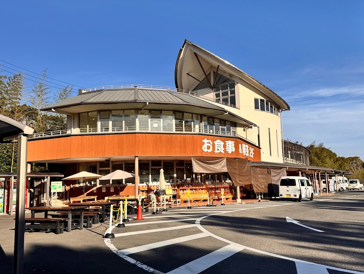道之驛 紀寶町海龜公園（道の駅 紀宝町ウミガメ公園） 實景照片 9