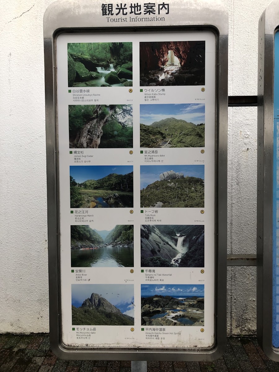屋久島機場 KUM(屋久島空港) 實景照片 9