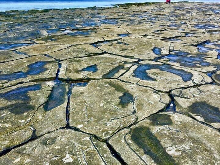 久米島特有的龜甲石地形
