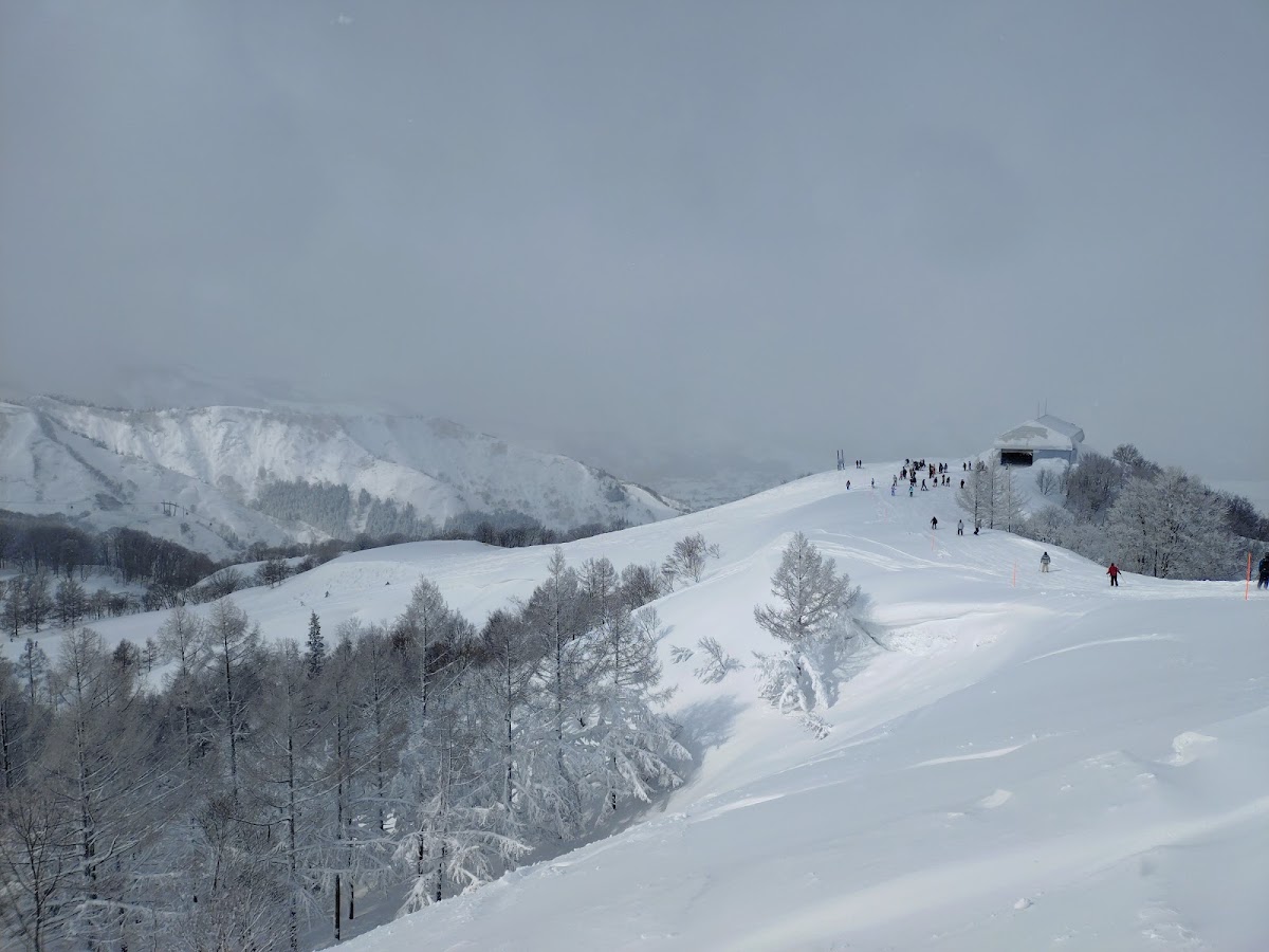 舞子滑雪度假村(舞子スノーリゾート) 實景照片 5