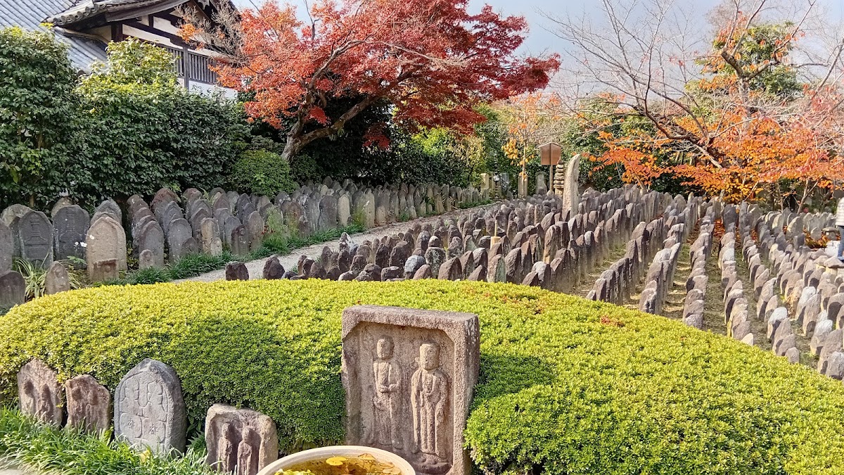 秋日紅葉與大量石佛墓群