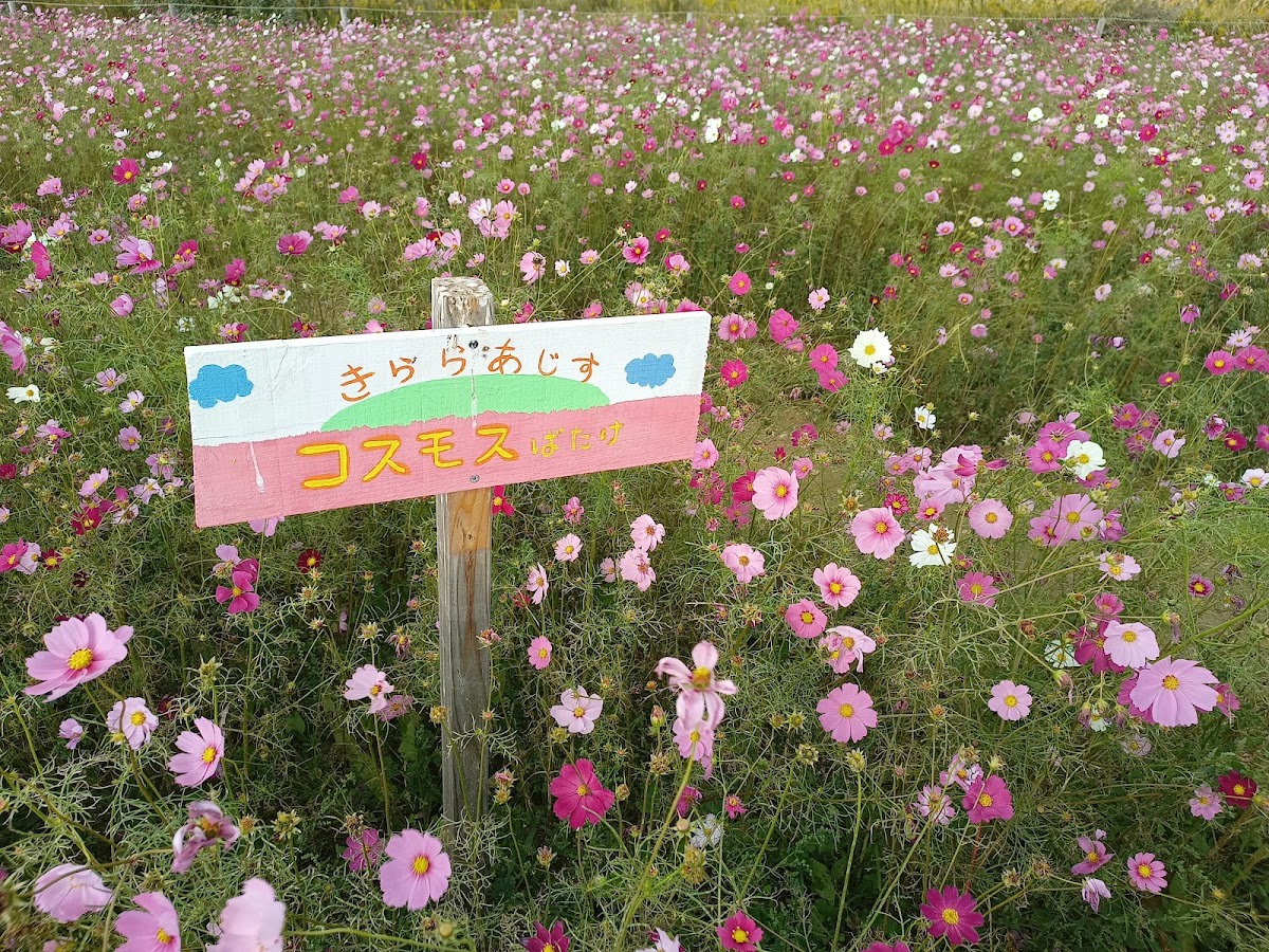 道之驛 きらら阿知須(道の駅 きらら あじす) 實景照片 3