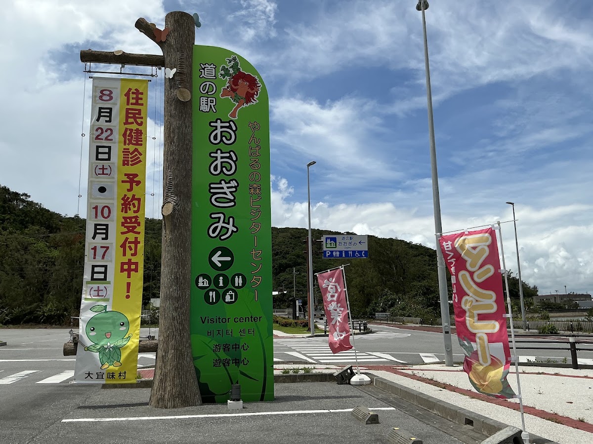 道之驛 大宜味 山原之森遊客中心(道の駅 おおぎみ やんばるの森ビジターセンター) 實景照片 5